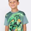 LEGO® NINJAGO® T-Shirt S/S – LWTAFFY 204 -LEGO®