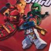 LEGO® NINJAGO® T-Shirt S/S – LWTAFFY 208 -LEGO®