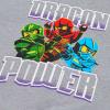 LEGO® NINJAGO® Sweatshirt – LWSAKU 105 -LEGO®