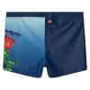 LEGO® NINJAGO® Swim Trunks – LWAGAN 307 -LEGO®