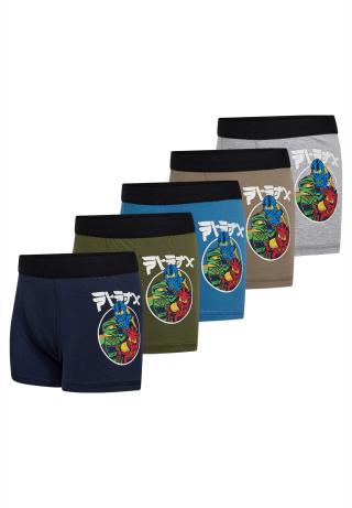 LEGO® NINJAGO® 5er-Pack Boxershorts LWAIKO 603 -LEGO®