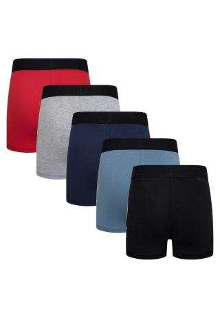 LEGO® NINJAGO® 5er-Pack Boxershorts LWAIKO 706