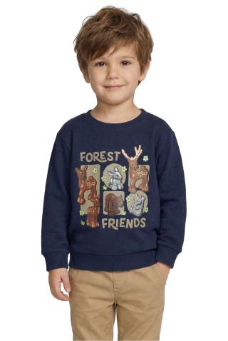 LEGO® DUPLO® Sweatshirt - LWSANYU 700