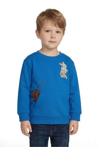 LEGO® DUPLO® Sweatshirt - LWSANYU 702