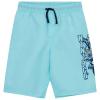 LEGO® NINJAGO® Badeshorts - LWAGAN 306 -LEGO® NINJAGO®