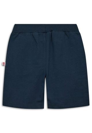 LEGO® NINJAGO® Shorts - LWPINO 300 -LEGO® NINJAGO® LEGO® NINJAGO® Shorts - LWPINO 300 -LEGO® NINJAGO®